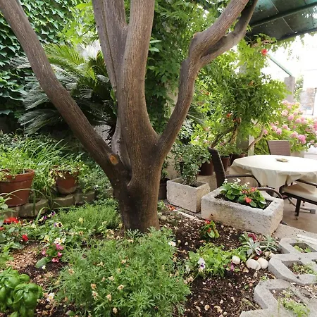 Appartement Garden *