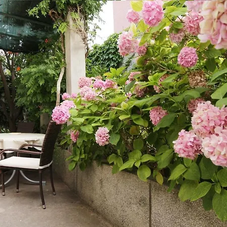 Apartman Garden *